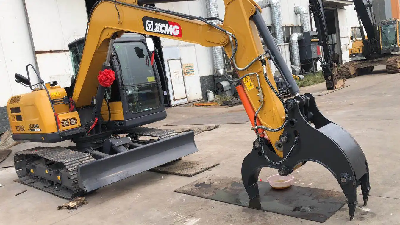 tree stump tree stump