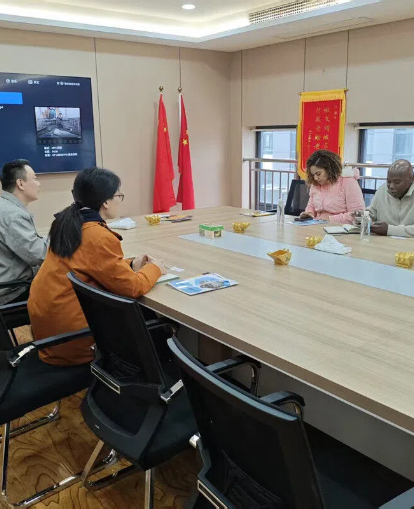 Excavator Double head tamper