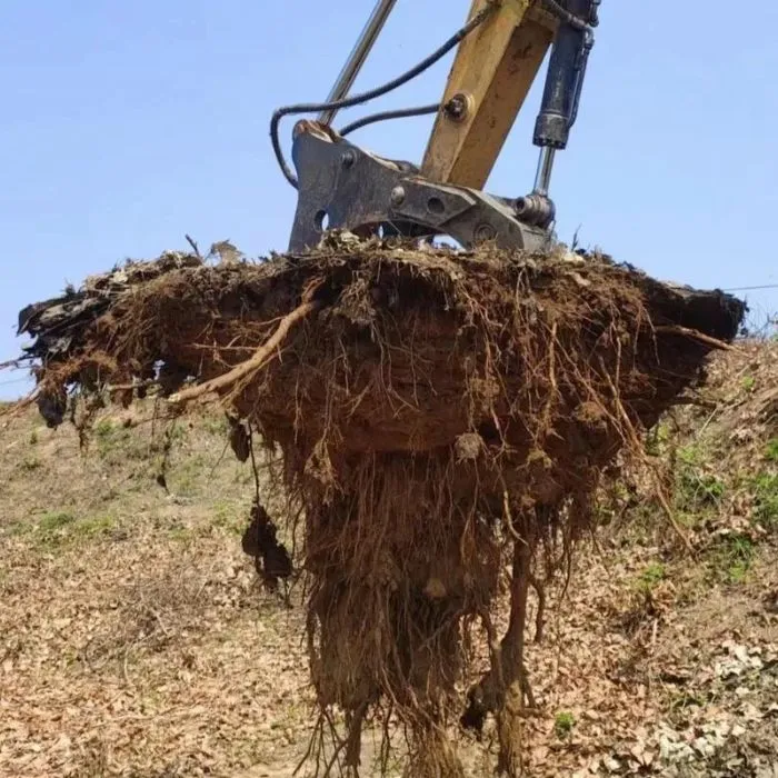 Excavator Tree stumper
